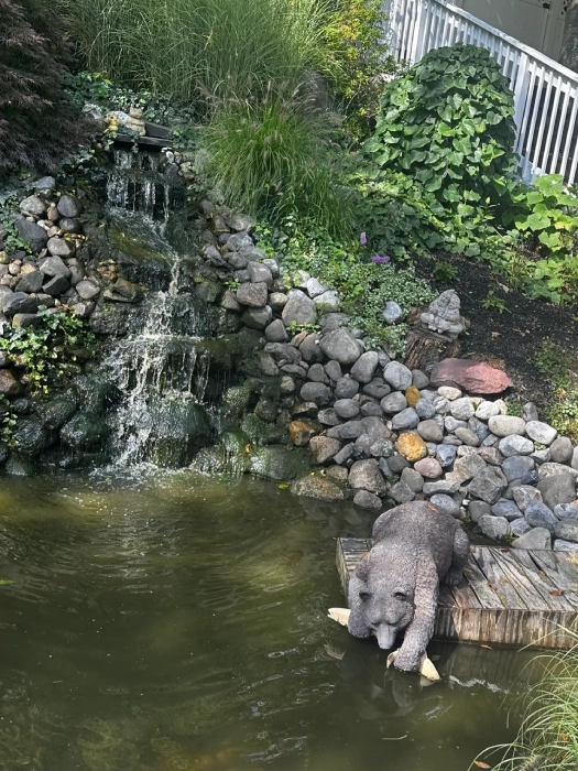 A bear is walking in the water near some rocks.